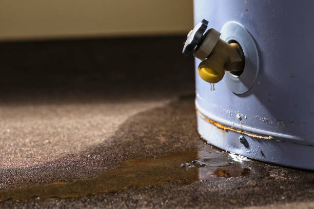 Best Water damage mitigation services  in Brogden, NC