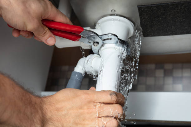 Best Commercial water damage restoration  in Brogden, NC