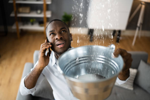 Best Emergency water damage restoration  in Brogden, NC
