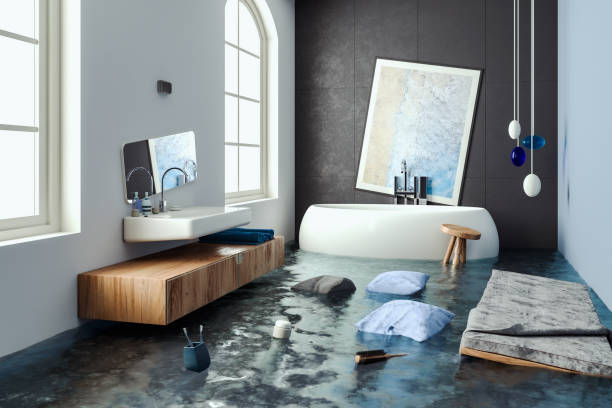 Best Water damage contractors near me  in Brogden, NC