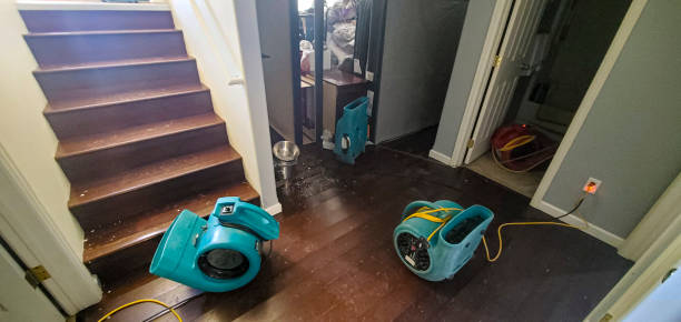 Best 24/7 water damage repair  in Brogden, NC