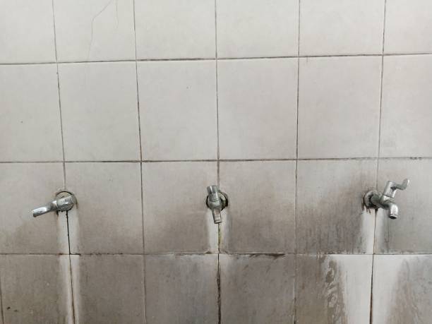 Brogden, NC Water damage restoration Company
