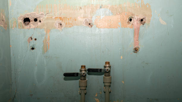 Water damage restoration experts in Brogden, NC