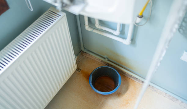 Best Water damage restoration experts  in Brogden, NC