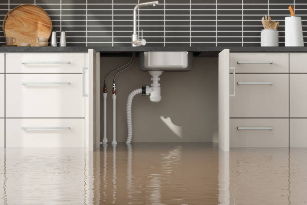 Best Flood damage cleanup  in Brogden, NC
