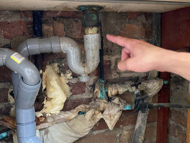 Best Basement water damage restoration  in Brogden, NC