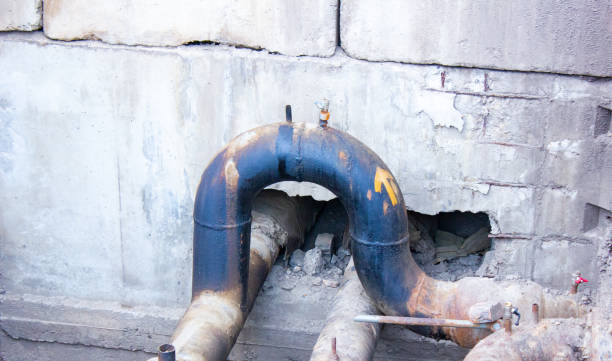 Best Carpet water damage restoration  in Brogden, NC