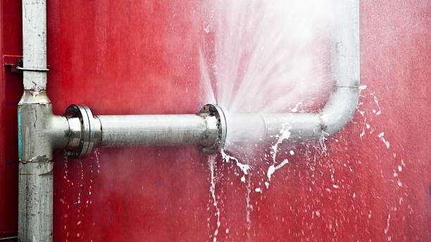 Best Flood damage cleanup  in Brogden, NC